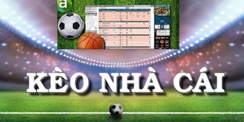Tỷ lệ kèo nhà cái thường áp dụng trong thể thao